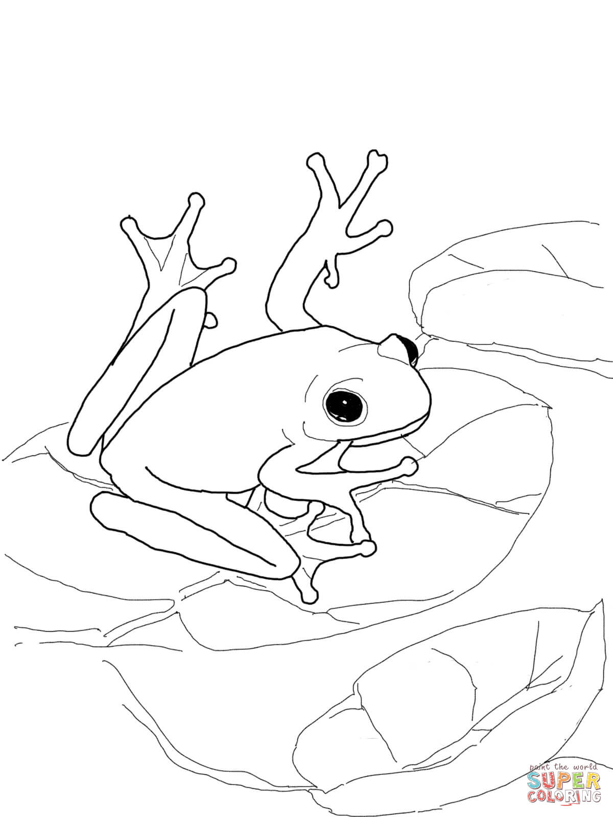 Frogs coloring pages | Free Coloring Pages