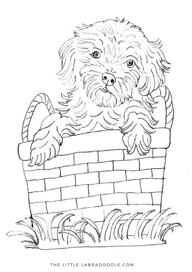 Pin on Doodle Lovers Coloring Pages
