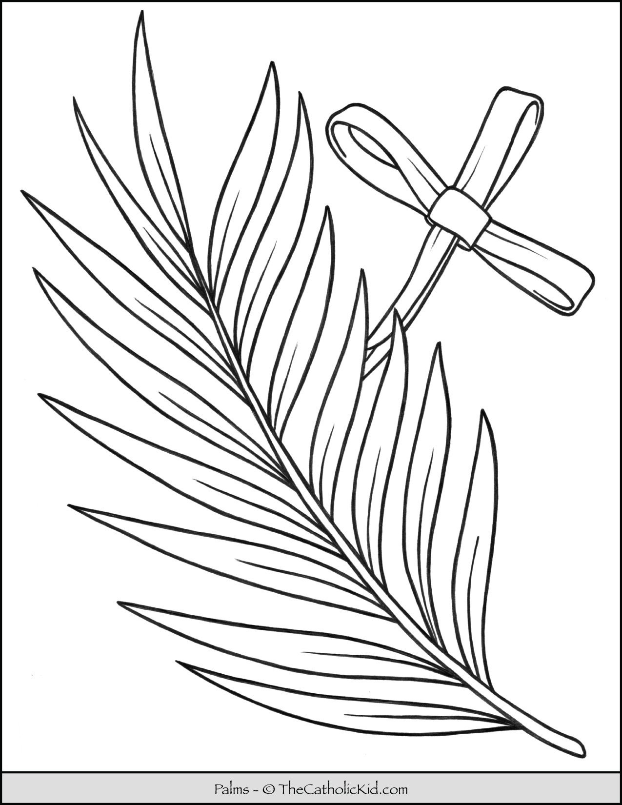 Palms Coloring Page - TheCatholicKid.com