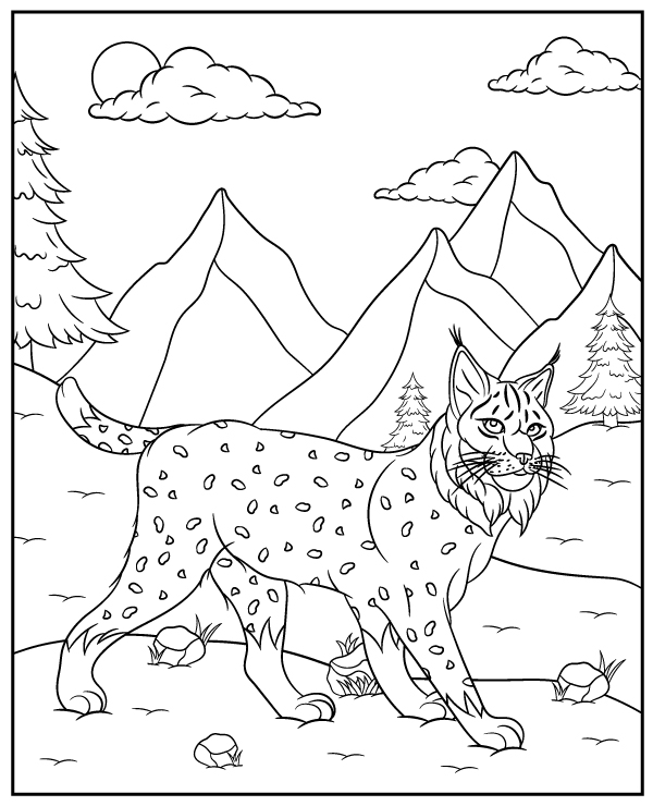 Lynx coloring page animal ...