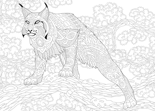 Lynx. zentangle colouring illustration ...