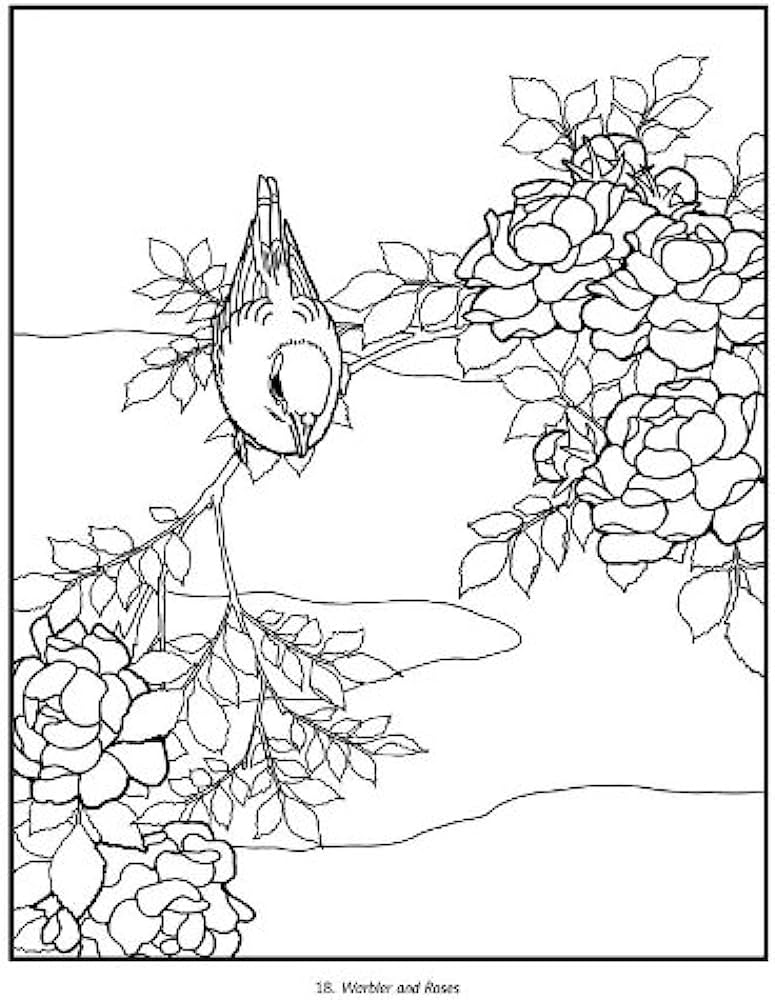 Hokusai: Birds, Flowers, and Nature Coloring Book: Pomegranate:  9780764955228: Amazon.com: Books