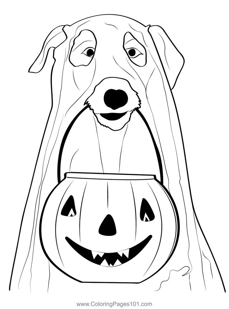 Dogs Pumpkin Ghost Coloring Page | Dog coloring page, Coloring pages, Dog  pumpkin