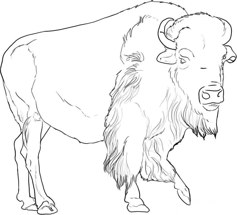 African Animal Coloring Pages Printable - Coloring Pages For All Ages