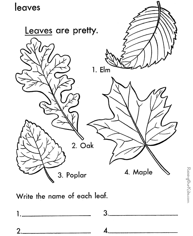 Easy to Make Leaves Coloring Sheets - Pipevine.co