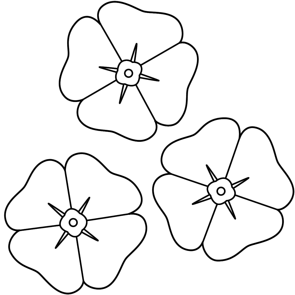 Poppies - Coloring Page (Remembrance Day)
