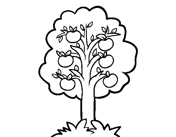 An apple tree coloring page - Coloringcrew.com