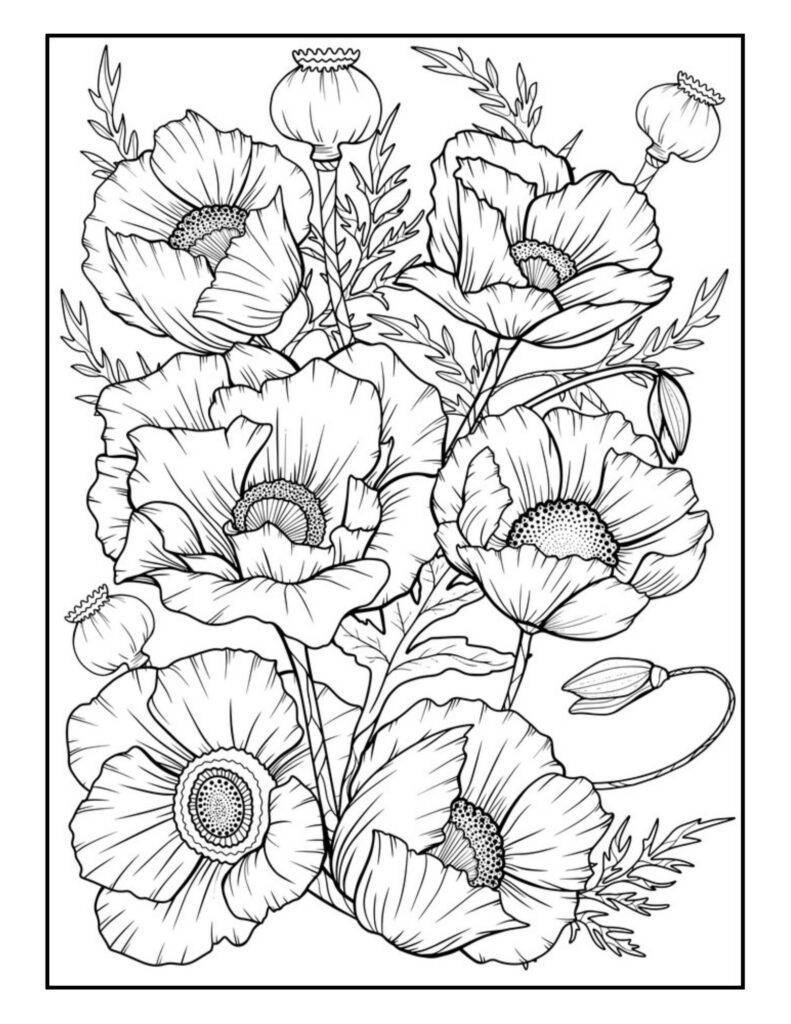 Adult Coloring Pages Flowers - creativitycolor.com