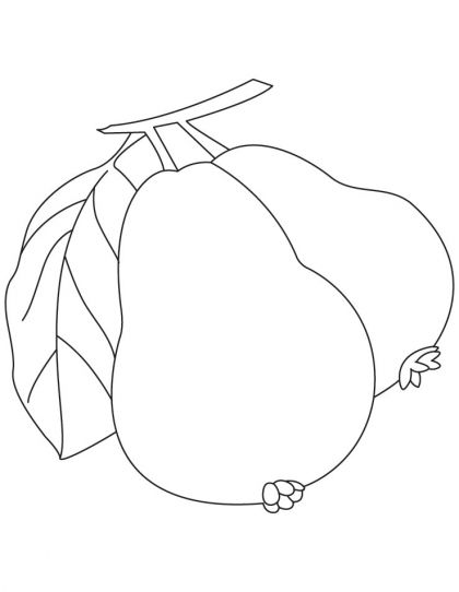 Guava Coloring Page | Download Free Guava Coloring Page for kids | Best Coloring  Pages | Fruit coloring pages, Coloring pages for kids, Coloring pages