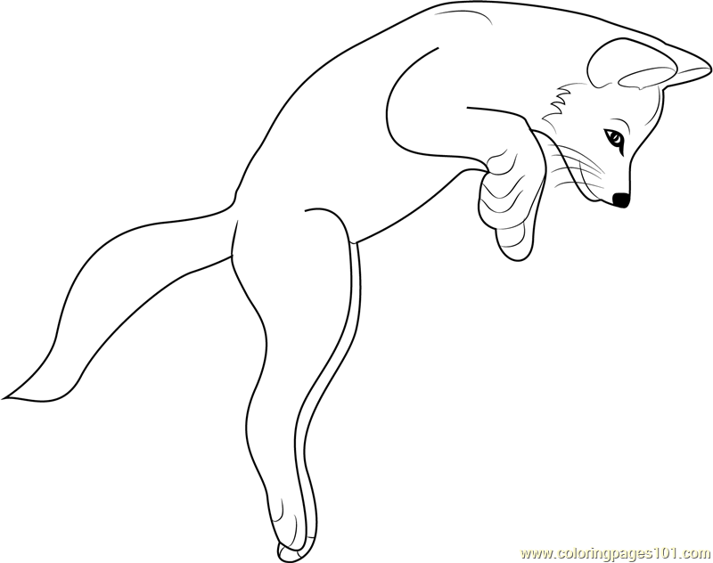 Fox Coloring Pages - Printable Coloring Pages of Foxes