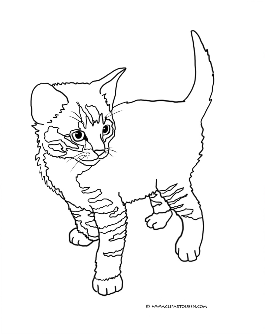 Coloring Pages : Tabby Kitten Standing Coloring Pages Cat ...