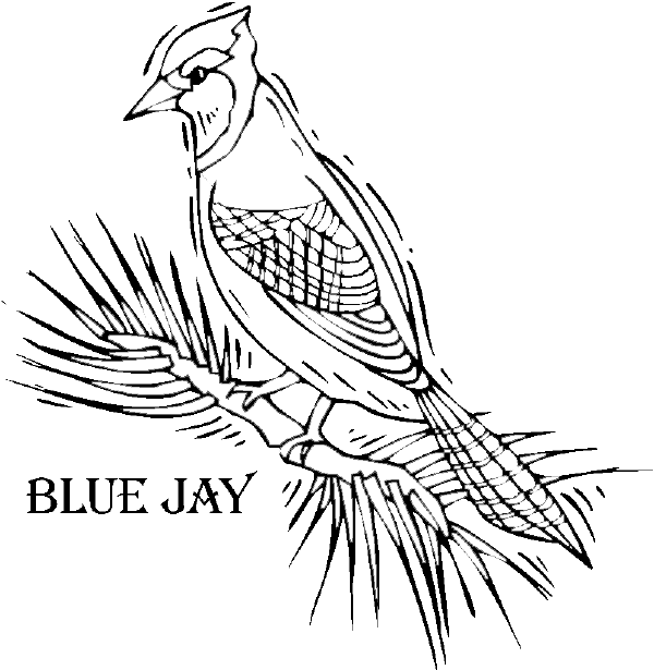 Blue Jays Baseball Coloring Pages