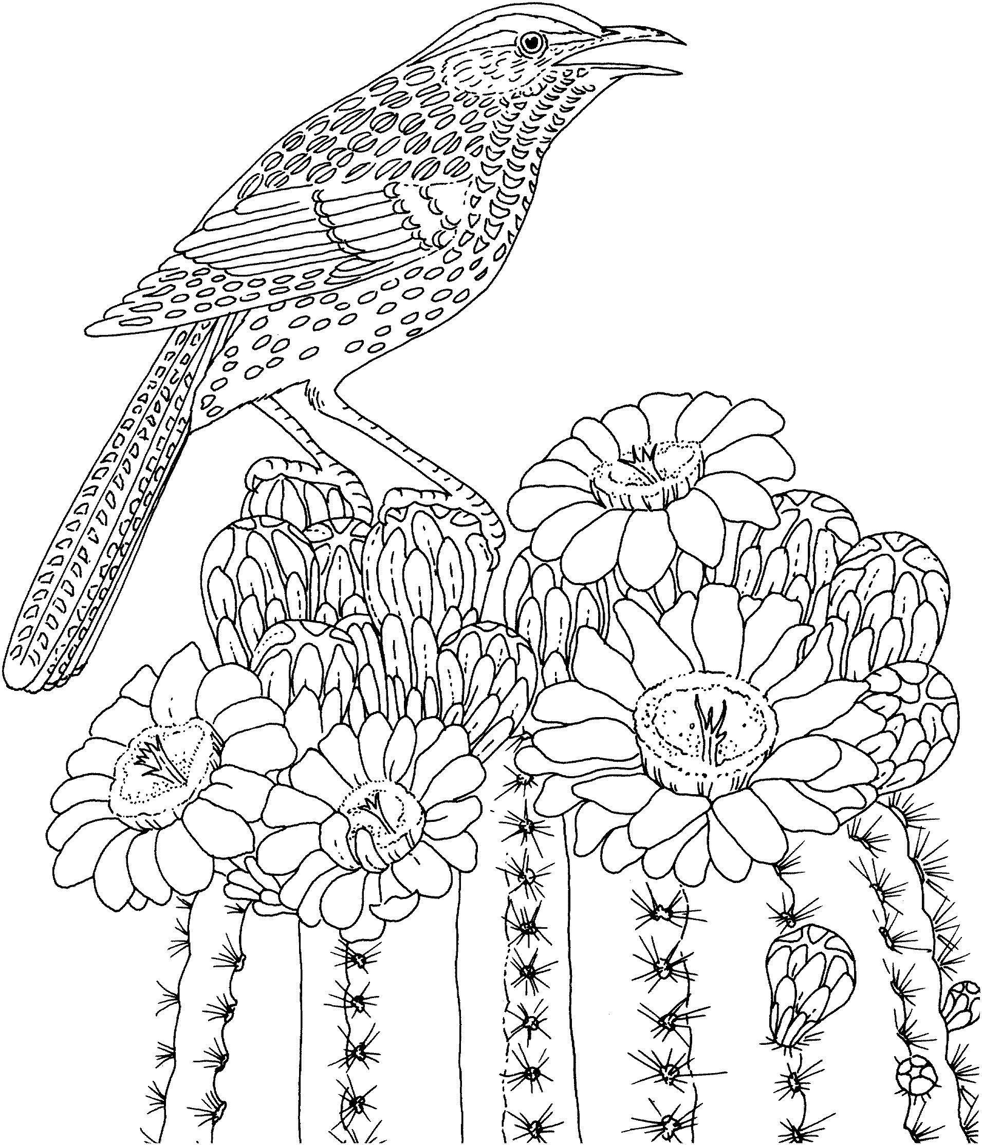 Animal Coloring Pages Intricate - Coloring Pages For All Ages