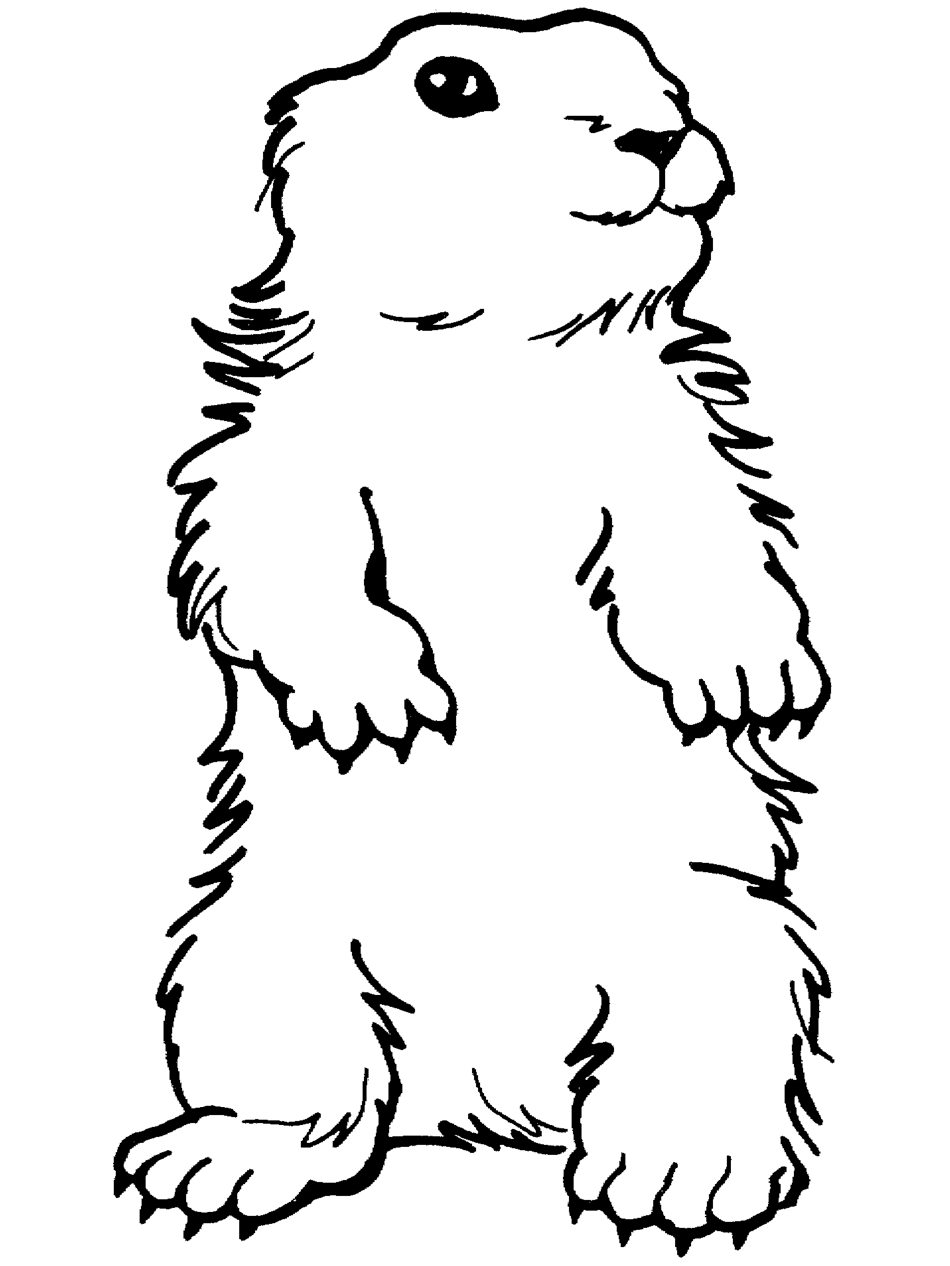Groundhog Day Coloring Page: Standing Groundhog - PrimaryGames ...