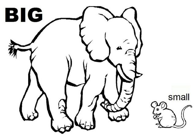 Opposites Coloring Sheet | Opposites preschool, Coloring sheets, Alphabet  activities preschool