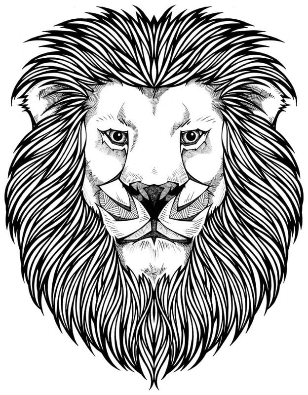 Coloring pages for adults: Lion, printable, free to download, JPG, PDF