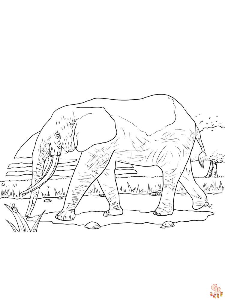 African Animals Coloring Pages - Free Printables for Kids