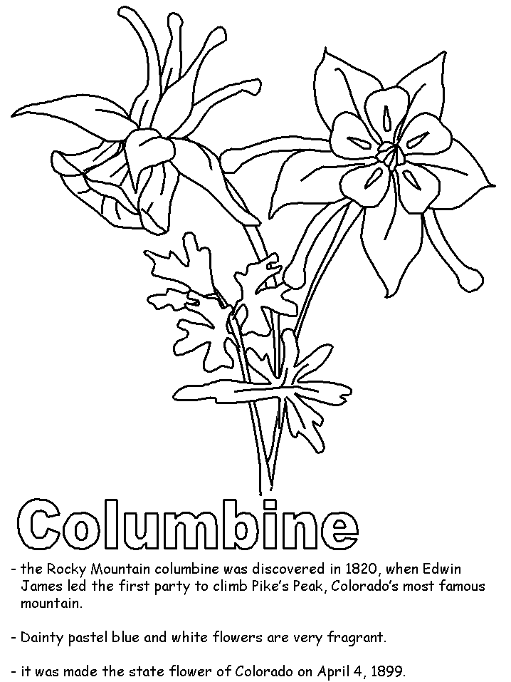Columbine coloring page