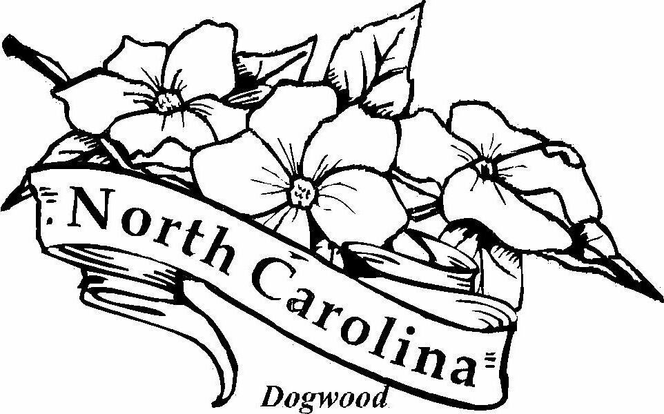South carolina state flower and bird coloring page South carolina ...