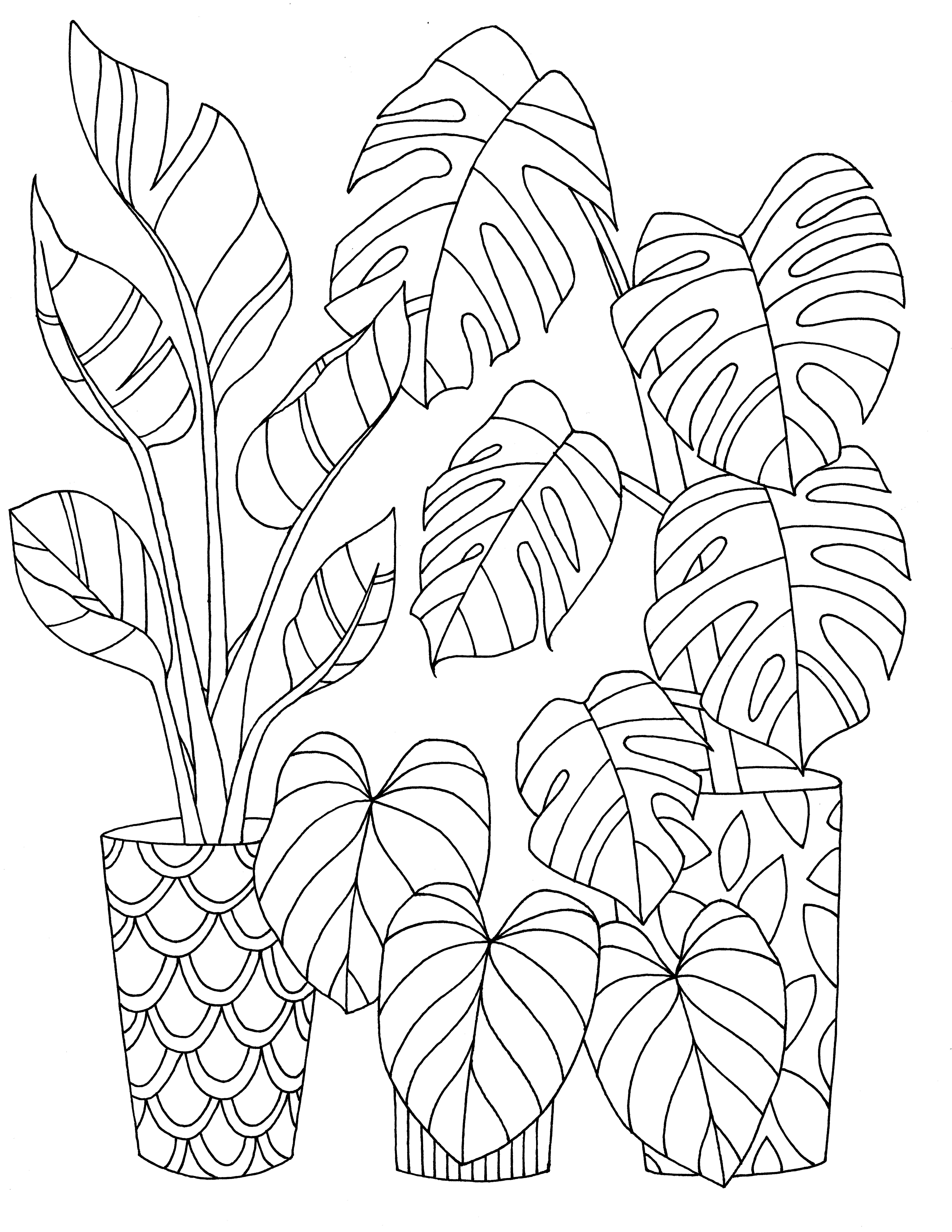 I made a tropica plant coloring page for a work event, and I decided to  share with some plant-minded appreciators! A link to download a PDF file in  the comments : r/houseplants