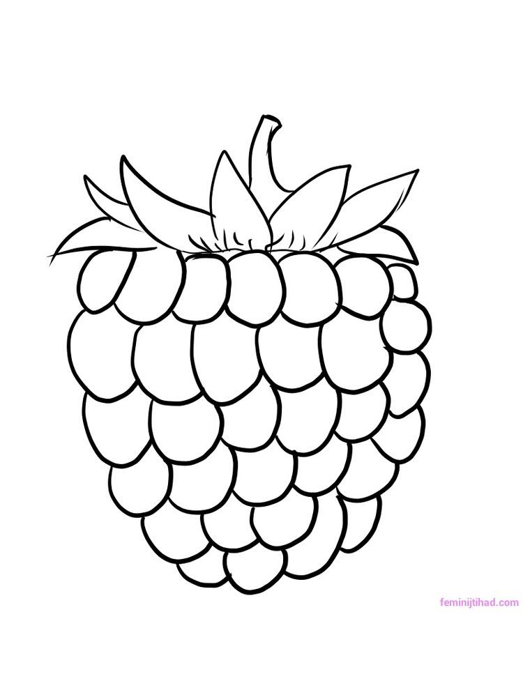 raspberry coloring picture. Raspberries are the fruit of the family of  berries which have very beautiful … | Coloring pictures, Fruit coloring  pages, Coloring pages