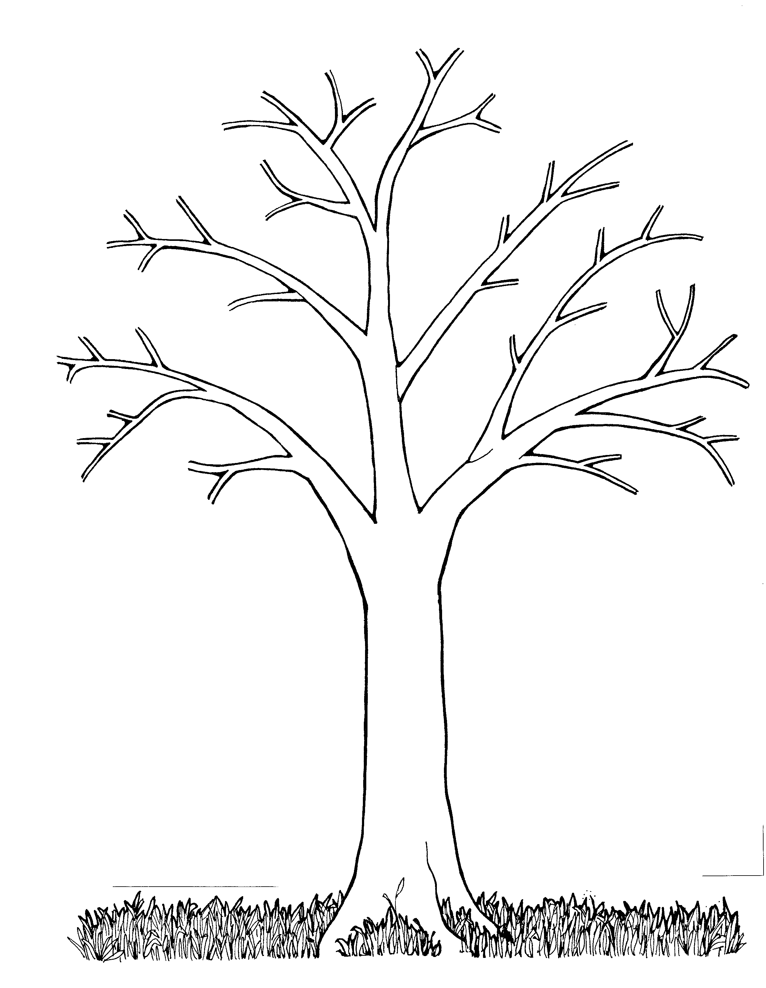 fall tree coloring pages - High Quality Coloring Pages