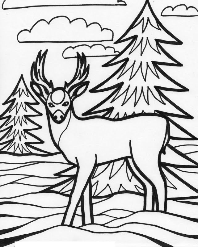 Coloring Pages Of Deer - Best Coloring Pages