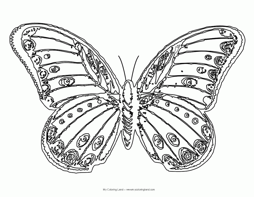 Butterfly Coloring Pages Beautiful - Coloring Pages For All Ages