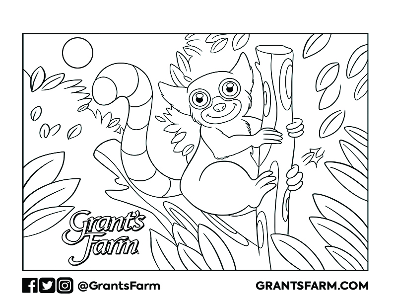 Zoo Coloring Pages - Zoo With Us