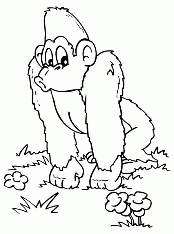 Gorilla Surprise Seeing Flower Coloring Page Free Amp Printable ...