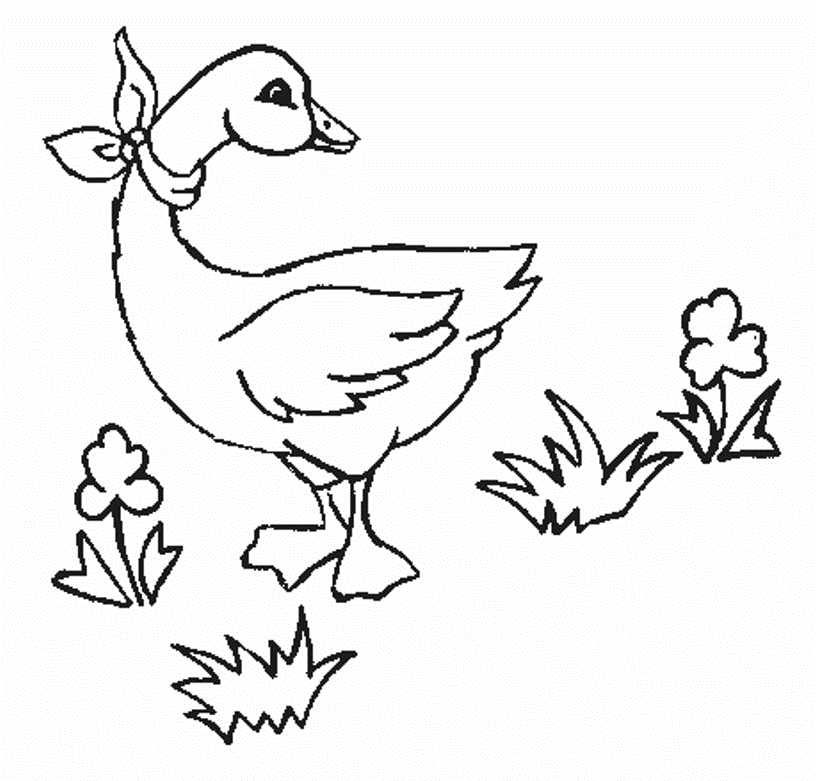 Kids Printable Animal Coloring Pages Goose | Animal Coloring pages ...