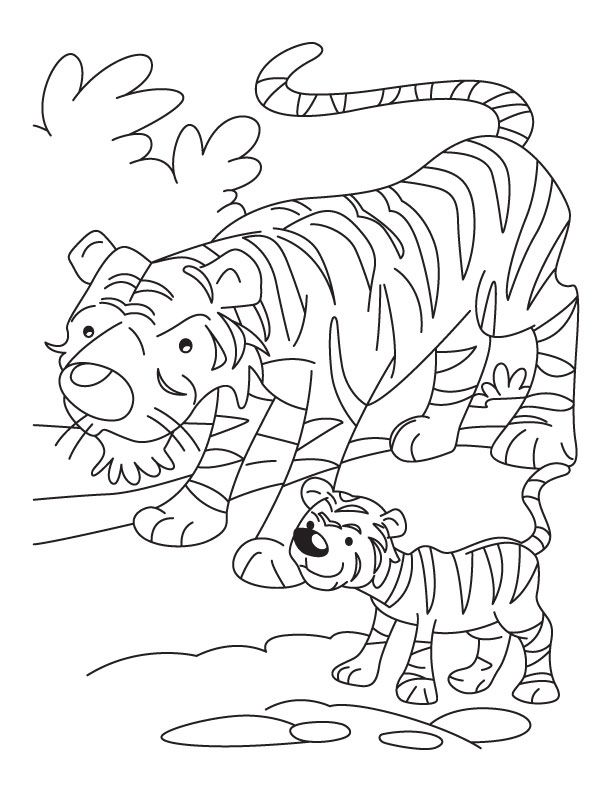 Tiger cub with mother tiger coloring page | Download Free Tiger ...