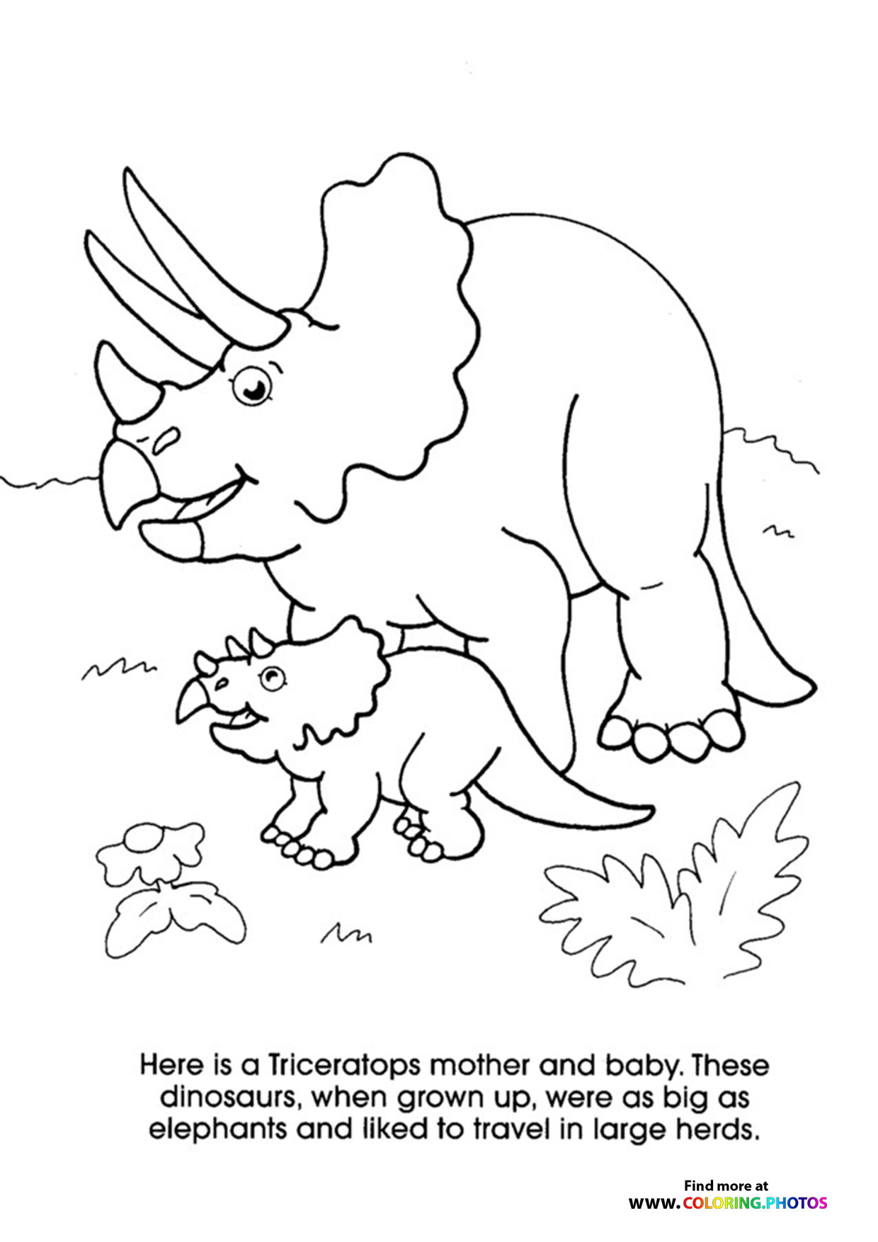 Triceratops mom and baby - Coloring Pages for kids