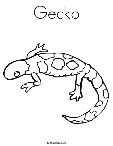 Gecko Coloring Page - Twisty Noodle