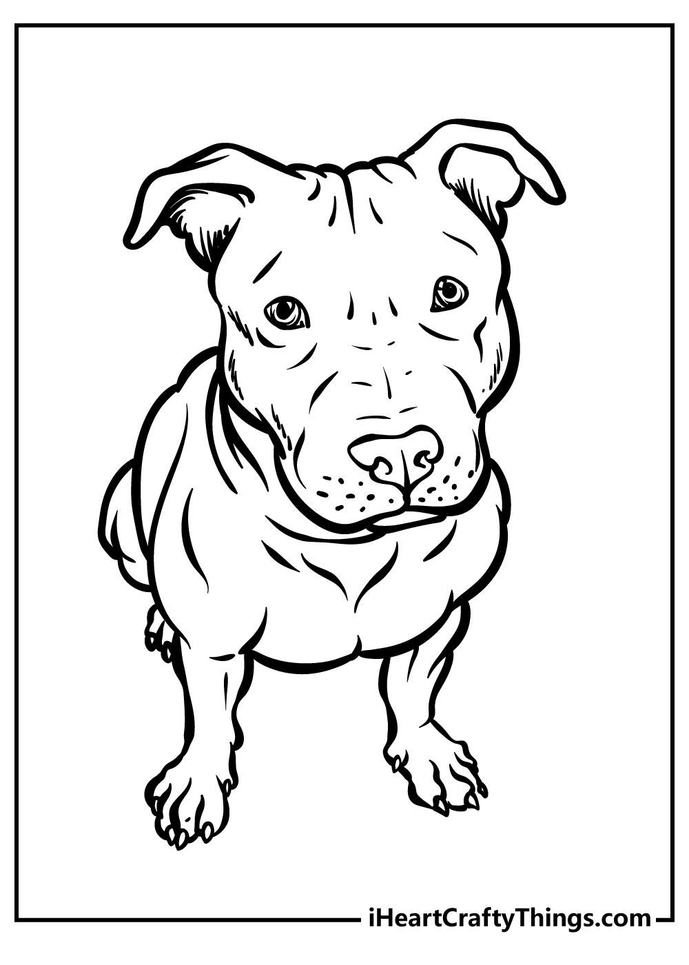 Printable Pitbull Coloring Pages (Updated 2022)