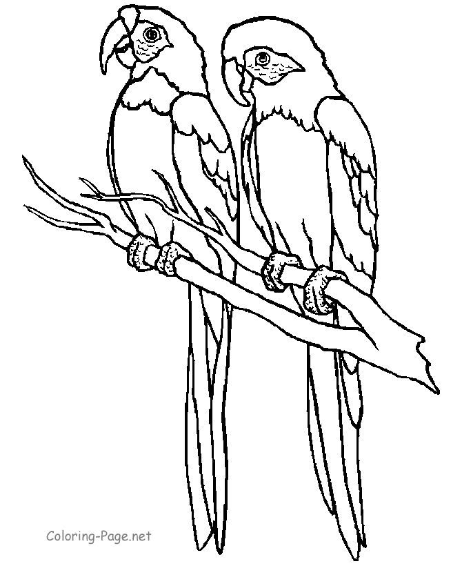 Coloring Pages | Coloring pages ...