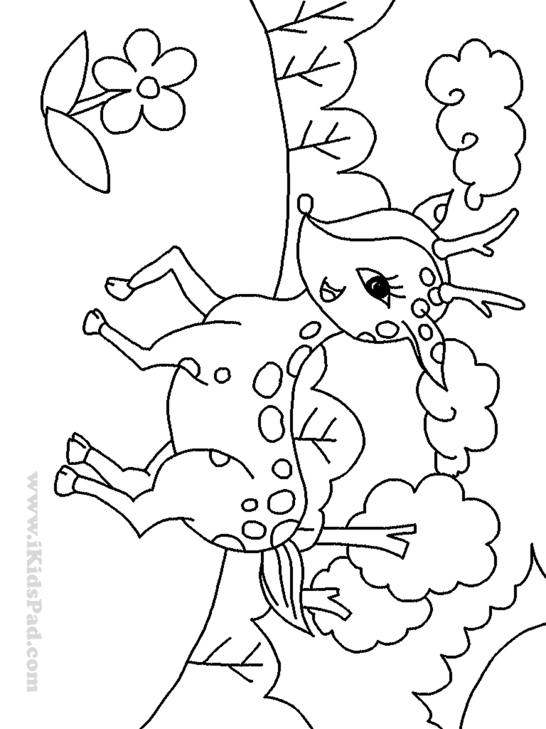 10 Pics of Cute Cartoon Baby Deer Coloring Pages - How to Draw ...