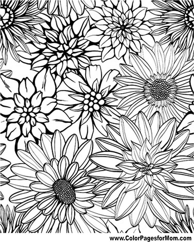 Advanced Coloring Pages - Flower Coloring Page 79