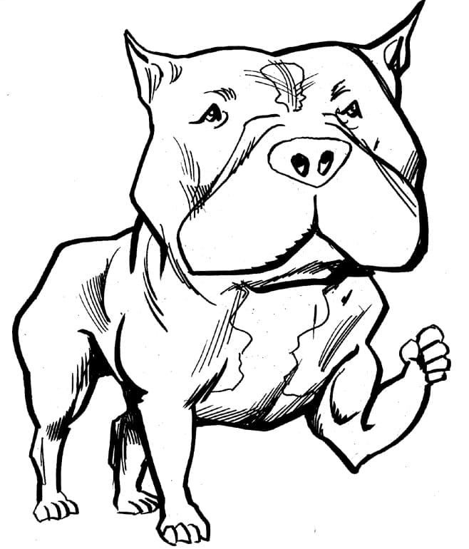 Strong Pitbull Coloring Page - Free Printable Coloring Pages for Kids