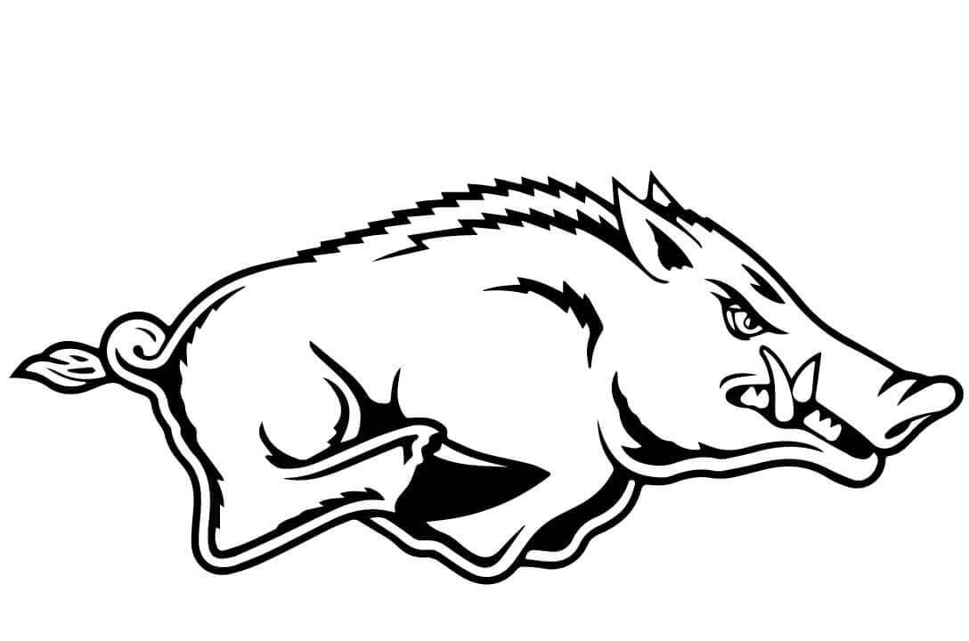 Wild Boar Running Coloring Page - Free Printable Coloring Pages for Kids
