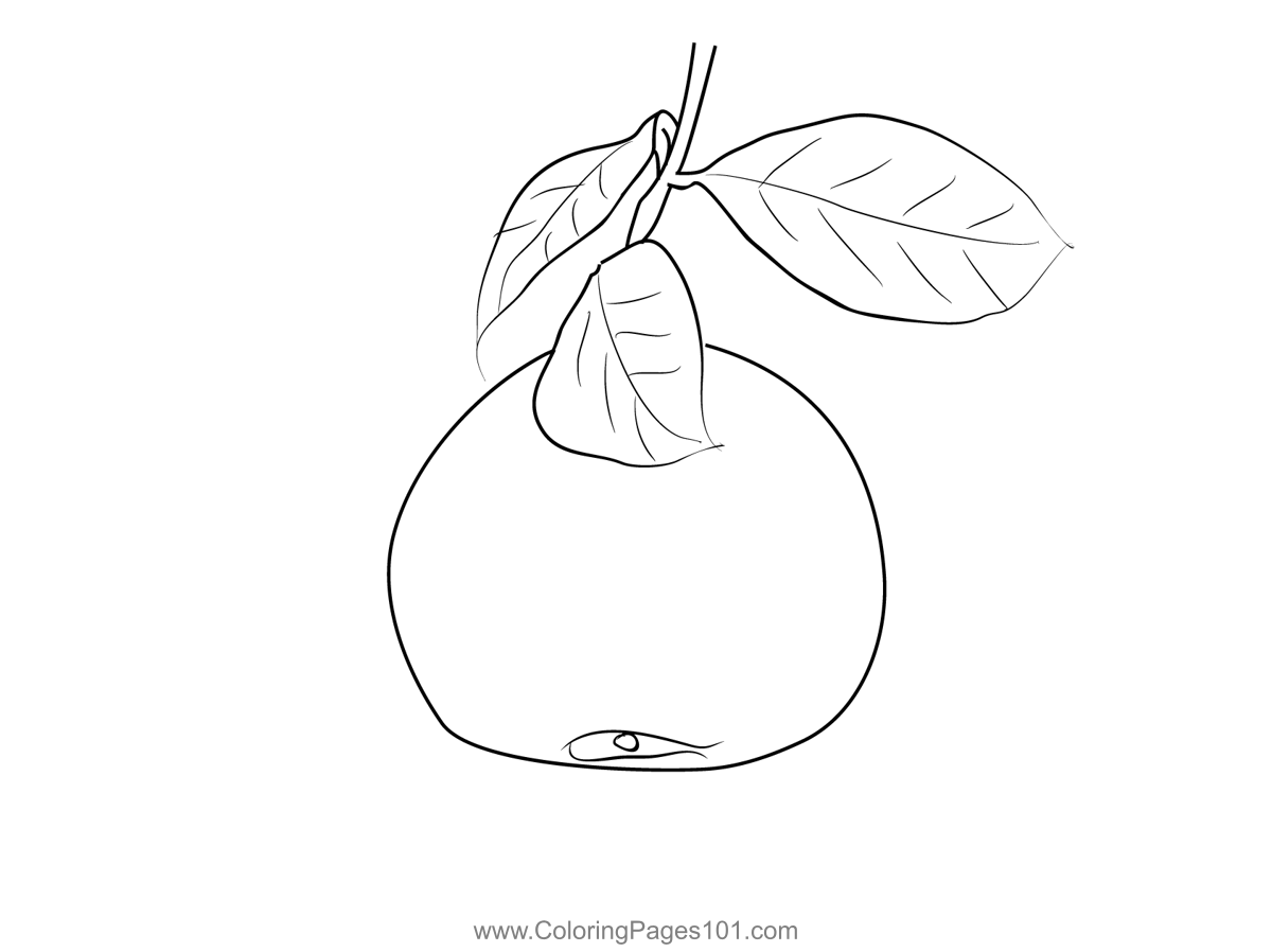 Grapefruit 3 Coloring Page for Kids - Free Grapefruit Printable Coloring  Pages Online for Kids - ColoringPages101.com | Coloring Pages for Kids