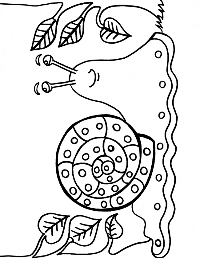 Slug coloring page - Animals Town - animals color sheet - Slug printable  coloring