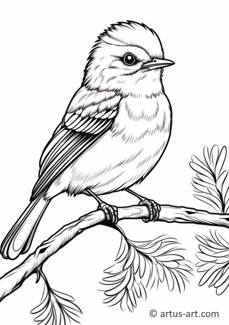 Mockingbird Coloring Page For Kids » Printable Coloring Page » Artus Art