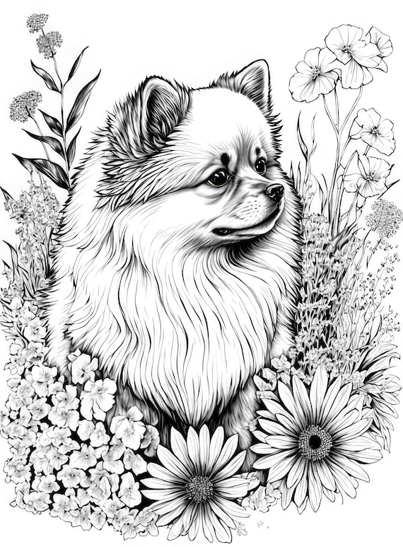 Pomeranian Coloring Sheet AI Generated Coloring Page of A Pom - Etsy