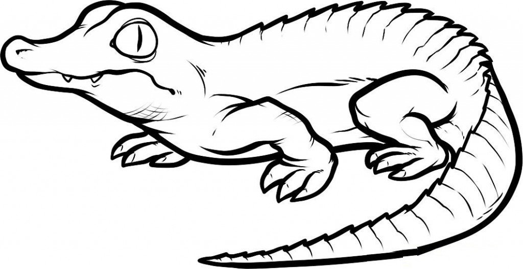 Drawing Crocodile #4812 (Animals) – Printable coloring pages