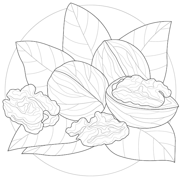 Page 18 | Dates Coloring Pages Images - Free Download on Freepik