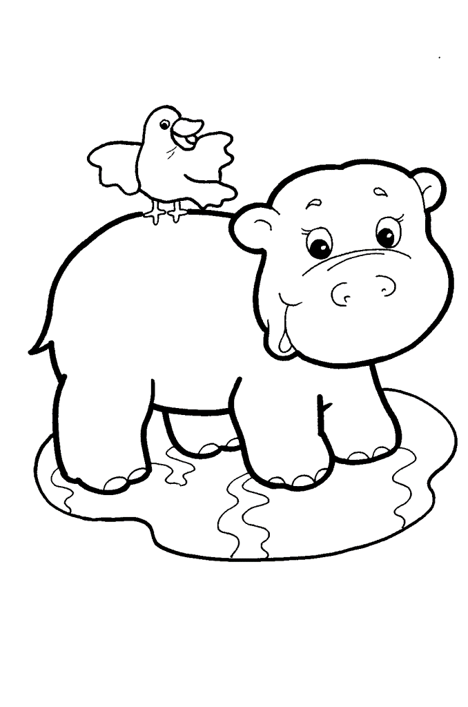 Coloring Pages Of Baby Zoo Animals - Coloring