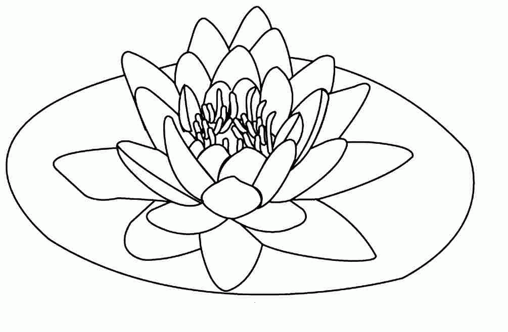 Free Printable Lotus Coloring Pages For Kids