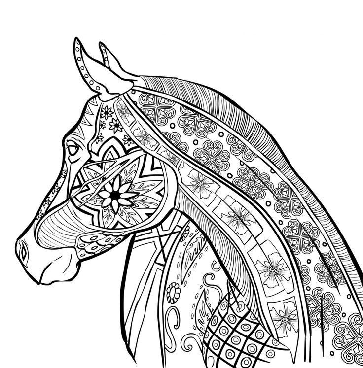 coloring-pages-for-adults-zentangle-4.jpg
