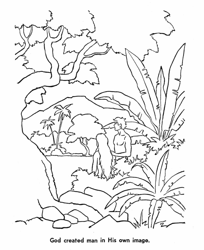 Creation Coloring Pages
